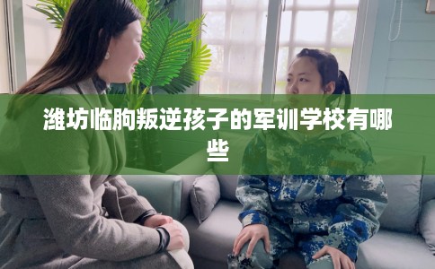 潍坊临朐叛逆孩子的军训学校有哪些