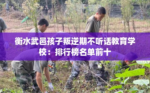 衡水武邑孩子叛逆期不听话教育学校:排行榜名单前十 衡水武邑孩子叛逆期不听话教育学校:排行榜名单前十