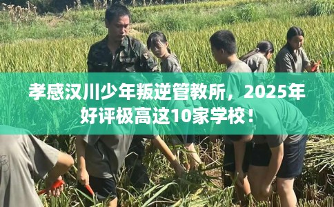 孝感汉川少年叛逆管教所，2025年好评极高这10家学校！