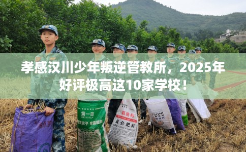 孝感汉川少年叛逆管教所，2025年好评极高这10家学校！