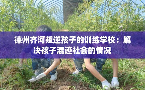 德州齐河叛逆孩子的训练学校：解决孩子混迹社会的情况