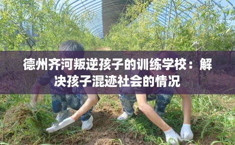 德州齐河叛逆孩子的训练学校：解决孩子混迹社会的情况