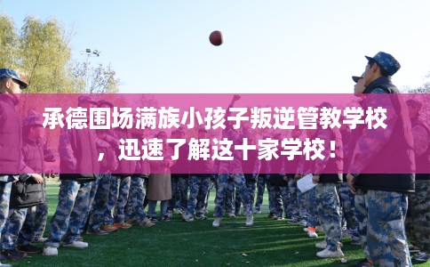 承德围场满族小孩子叛逆管教学校，迅速了解这十家学校！