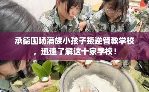 承德围场满族小孩子叛逆管教学校，迅速了解这十家学校！