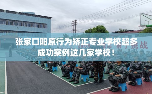 张家口阳原行为矫正专业学校超多成功案例这几家学校！