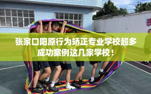 张家口阳原行为矫正专业学校超多成功案例这几家学校！