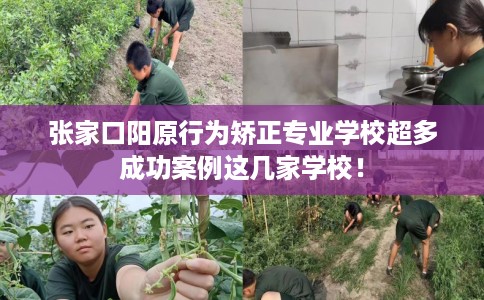 张家口阳原行为矫正专业学校超多成功案例这几家学校！