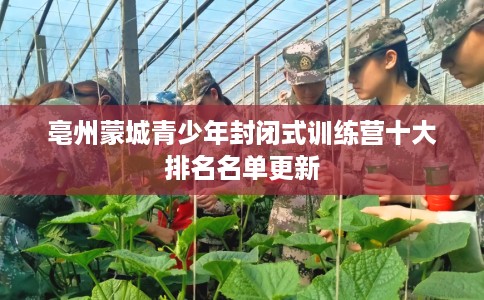 亳州蒙城青少年封闭式训练营十大排名名单更新 亳州蒙城青少年封闭式训练营十大排名名单更新