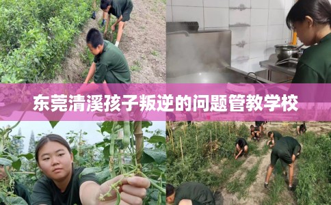 东莞清溪孩子叛逆的问题管教学校