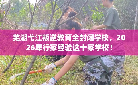 芜湖弋江叛逆教育全封闭学校，2026年行家经验这十家学校！