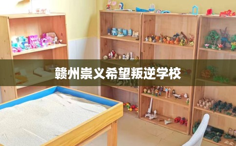 赣州崇义希望叛逆学校