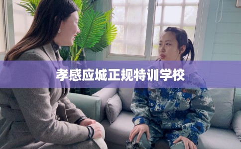 孝感应城正规特训学校