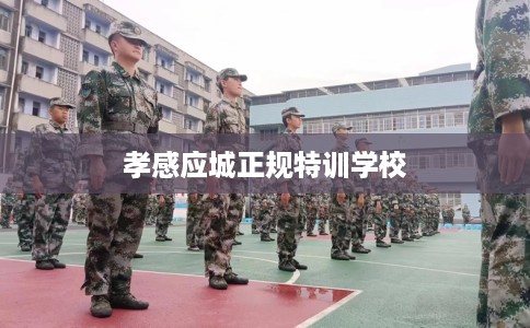 孝感应城正规特训学校