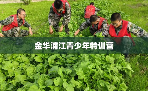 金华浦江青少年特训营
