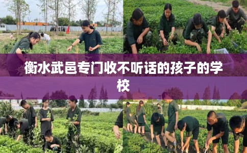 衡水武邑专门收不听话的孩子的学校