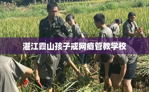 湛江霞山孩子戒网瘾管教学校