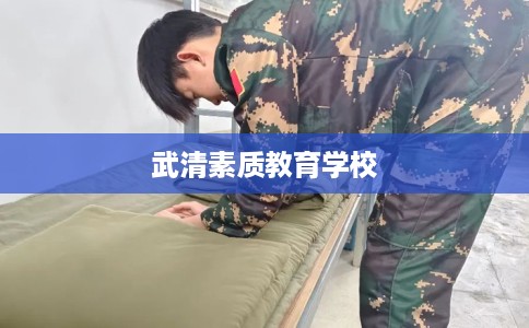 武清素质教育学校