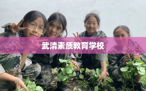 武清素质教育学校