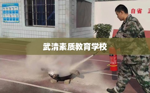 武清素质教育学校
