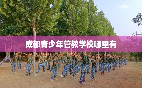 成都青少年管教学校哪里有