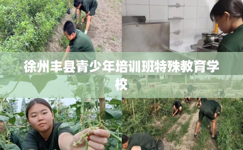 徐州丰县青少年培训班特殊教育学校