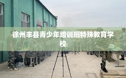 徐州丰县青少年培训班特殊教育学校