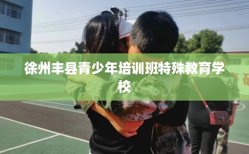 徐州丰县青少年培训班特殊教育学校