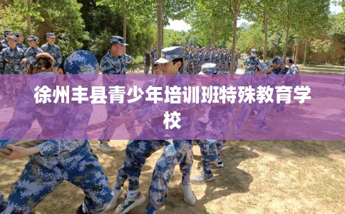 徐州丰县青少年培训班特殊教育学校