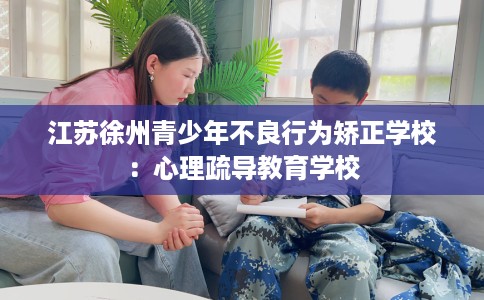 江苏徐州青少年不良行为矫正学校：心理疏导教育学校