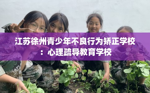江苏徐州青少年不良行为矫正学校：心理疏导教育学校