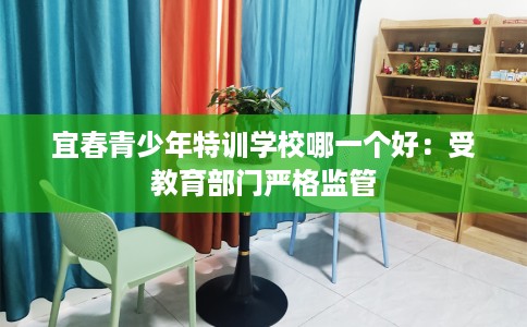 宜春青少年特训学校哪一个好：受教育部门严格监管