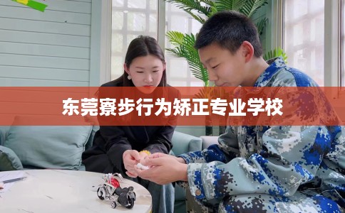 东莞寮步行为矫正专业学校