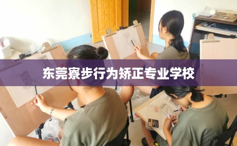 东莞寮步行为矫正专业学校
