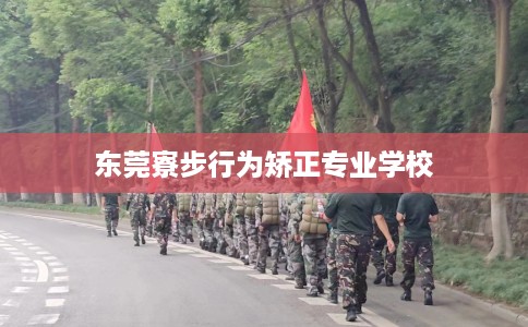 东莞寮步行为矫正专业学校