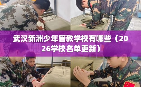 武汉新洲少年管教学校有哪些（2026学校名单更新）