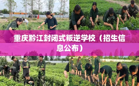重庆黔江封闭式叛逆学校(招生信息公布) 重庆黔江封闭式叛逆学校(招生信息公布)