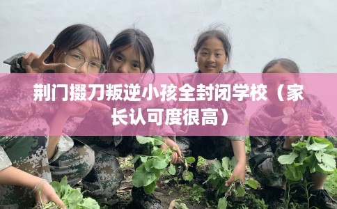 荆门掇刀叛逆小孩全封闭学校(家长认可度很高) 荆门掇刀叛逆小孩全封闭学校(家长认可度很高)