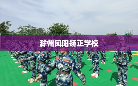 滁州凤阳矫正学校 滁州凤阳矫正学校