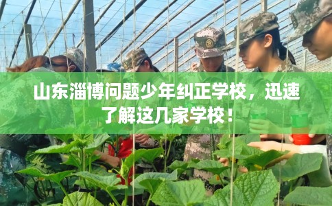 山东淄博问题少年纠正学校，迅速了解这几家学校！