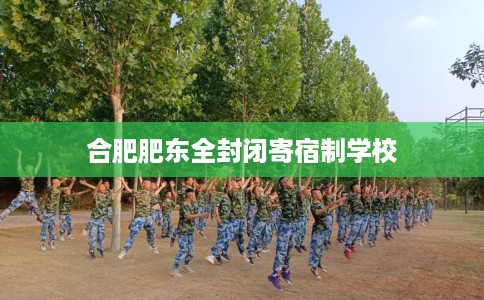 合肥肥东全封闭寄宿制学校 合肥肥东全封闭寄宿制学校