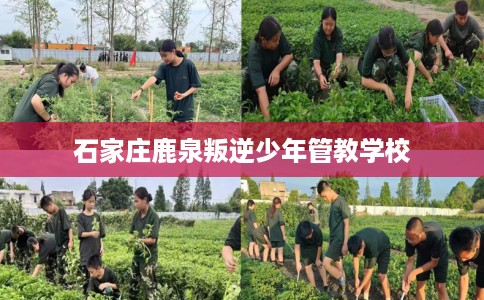 石家庄鹿泉叛逆少年管教学校 石家庄鹿泉叛逆少年管教学校