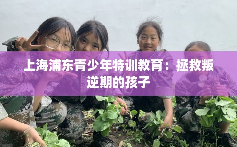 上海浦东青少年特训教育：拯救叛逆期的孩子