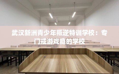 武汉新洲青少年叛逆特训学校：专门戒游戏瘾的学校