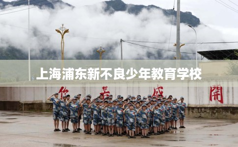 上海浦东新不良少年教育学校 上海浦东新不良少年教育学校