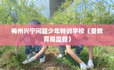 梅州兴宁问题少年特训学校（受教育局监管）