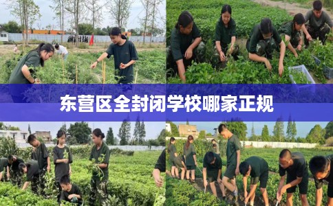 东营区全封闭学校哪家正规