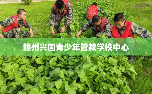 赣州兴国青少年管教学校中心