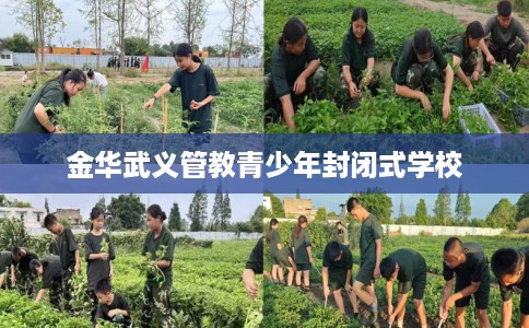 金华武义管教青少年封闭式学校
