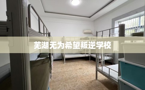 芜湖无为希望叛逆学校