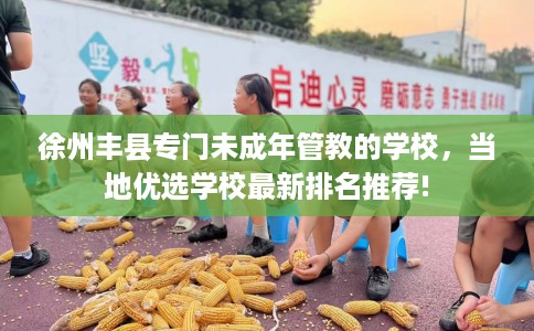徐州丰县专门未成年管教的学校，当地优选学校最新排名推荐!